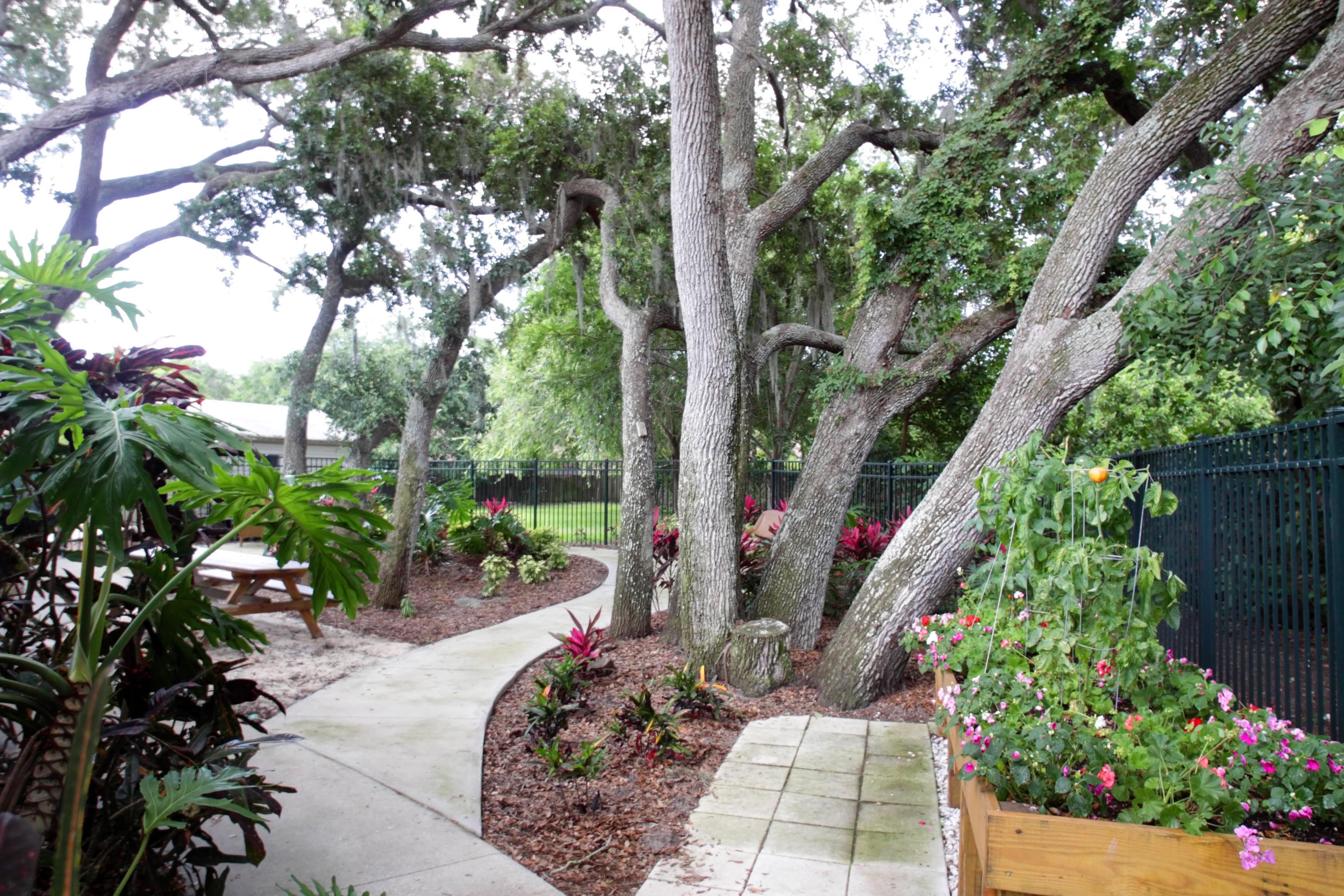 DISCOVERY COMMONS AT BRADENTON gallery image 2
